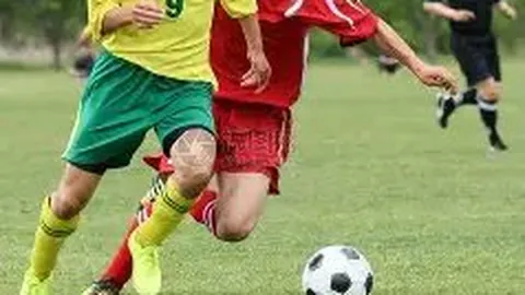 刘强东章泽天夫妻共同创立“天强”企业未分居